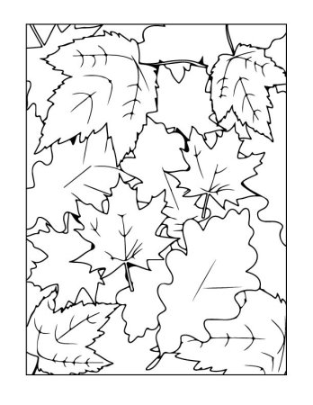 Осенний букет раскраска