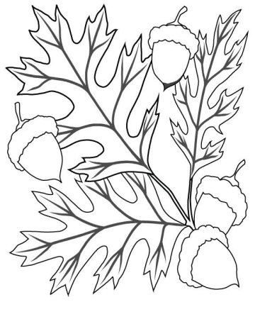 Осенний букет раскраска для детей