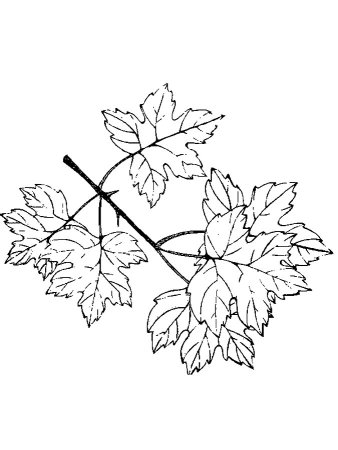 Венок раскраска для детей