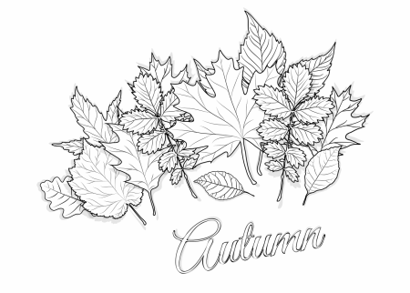 Ваза с осенними листьями карандашом