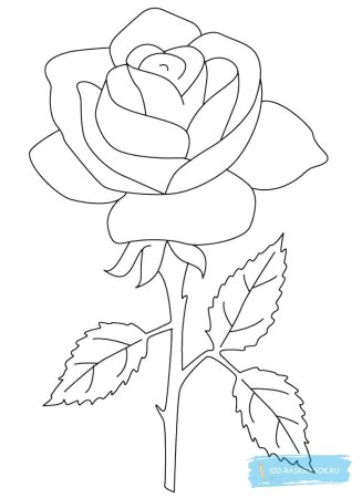 Роза раскраска для детей