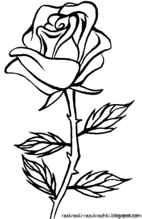 Роза раскраска для детей