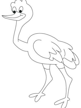 Африканский страус раскраска