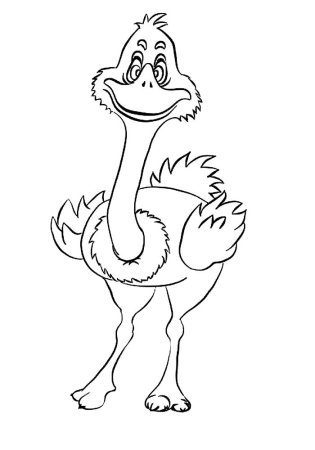 Страус раскраска для детей