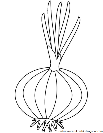 Лук раскраска