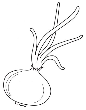 Лук раскраска
