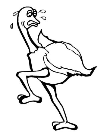 Страус раскраска для детей