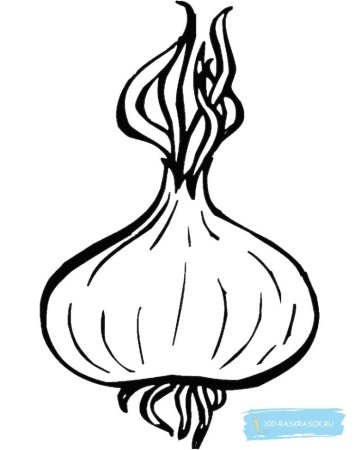 Лук раскраска для детей