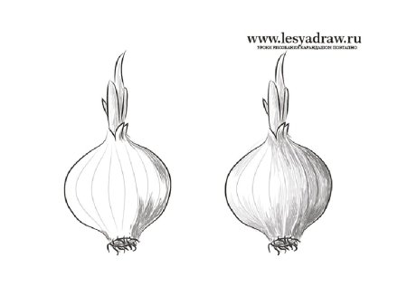 Лук раскраска для малышей