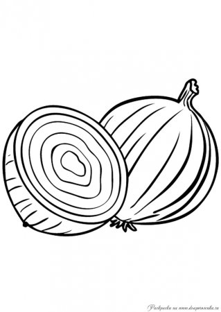 Лук раскраска