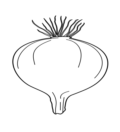 Лук раскраска для детей