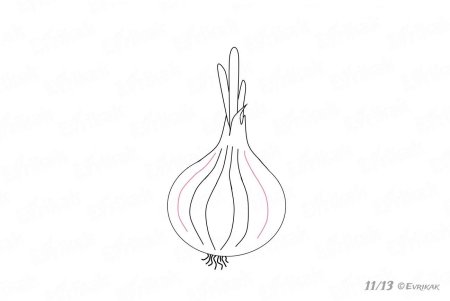 Лук раскраска для детей