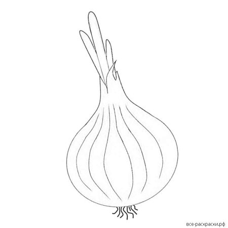Лук раскраска