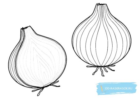 Лук раскраска