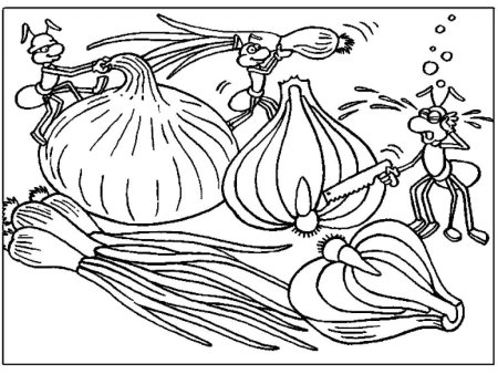 Лук раскраска для детей