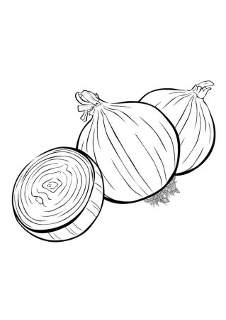 Лук раскраска