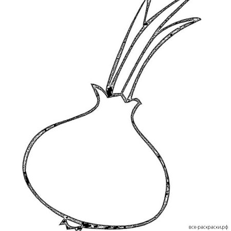 Зеленый лук раскраска