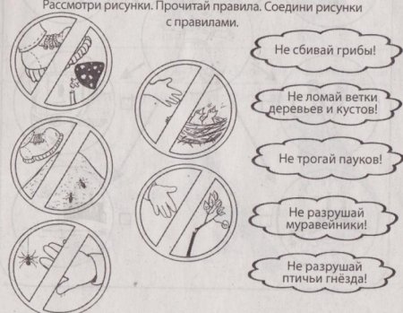 Плакат береги природу раскраска