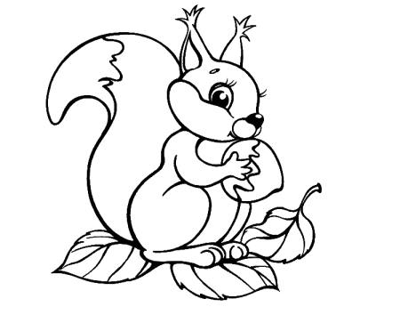 Раскраска Белочка