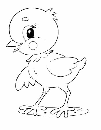 Цыпленок. Раскраски