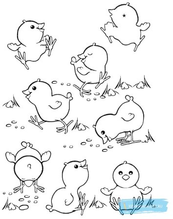 Чуковский цыпленок раскраска