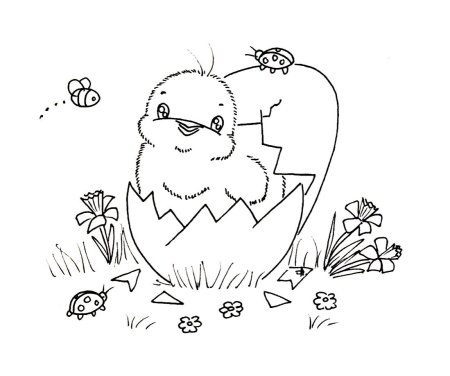 Цыпленок. Раскраски