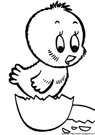 Цыпленок раскраска для детей