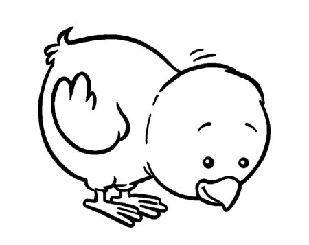 Цыпленок. Раскраски