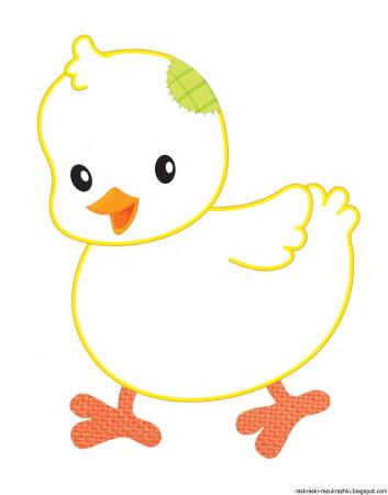 Цыпленок. Раскраски