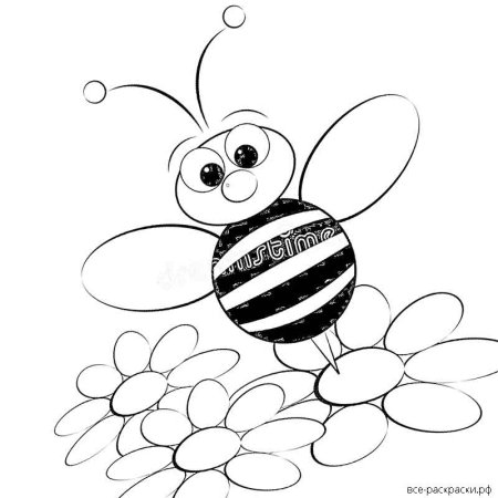 Пчелка раскраска для малышей