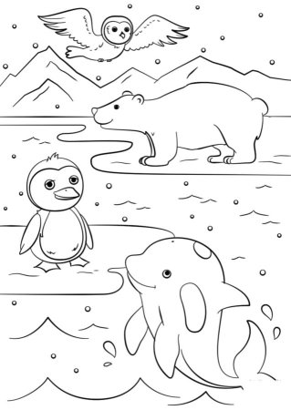 Животные Арктики раскраска