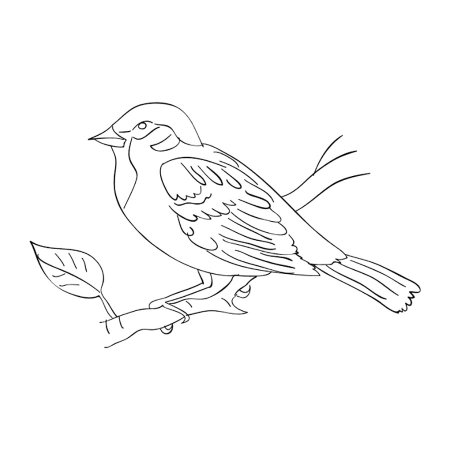 Раскрасить воробья