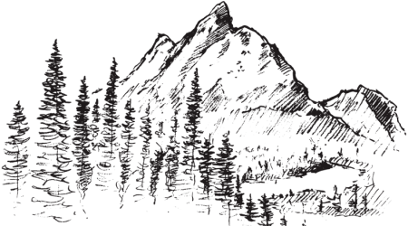 Тайга карандашом