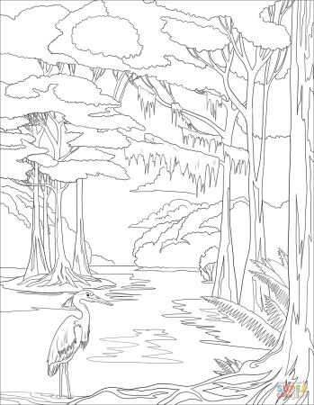 Раскраска водопад