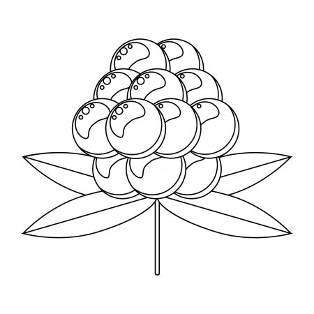 Морошка раскраска для детей