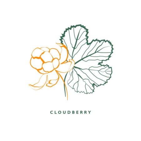 Морошка черно белая