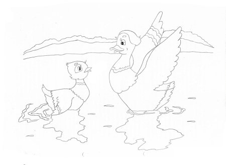 Уточка серая шейка