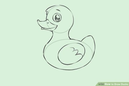 Рисование серая шейка поэтапно