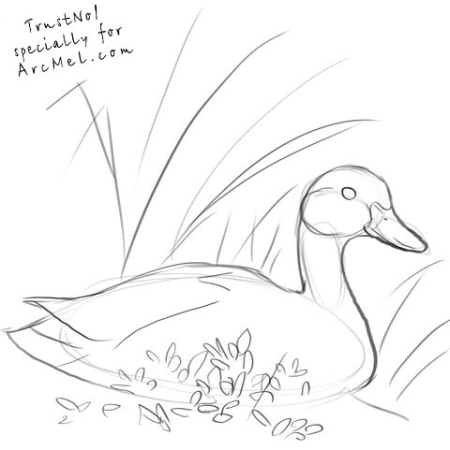 Хромка пришвин рисунок