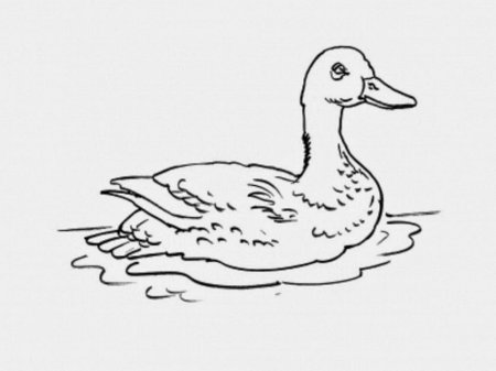 Схема рисования лисы для детей