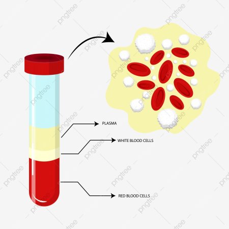 Состав крови рисунок