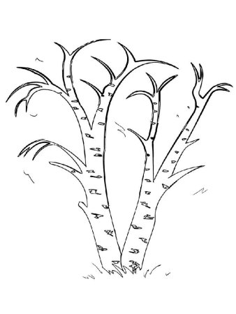 Раскраска дерево без листьев для детей