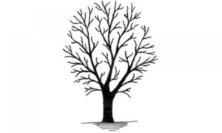 Дерево трафарет для рисования