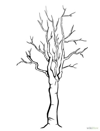 Раскраска дерево без листьев для детей