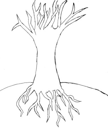 Раскраска дерево без листьев