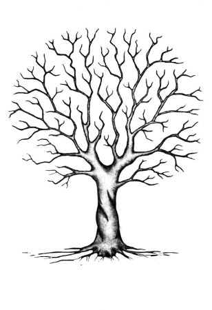 Раскраска дерево без листьев