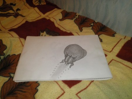 Промокашка рисунок