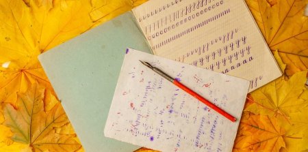 Промокашка в старой тетради