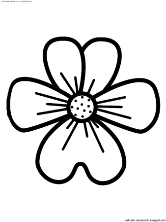 Цветы. Раскраска