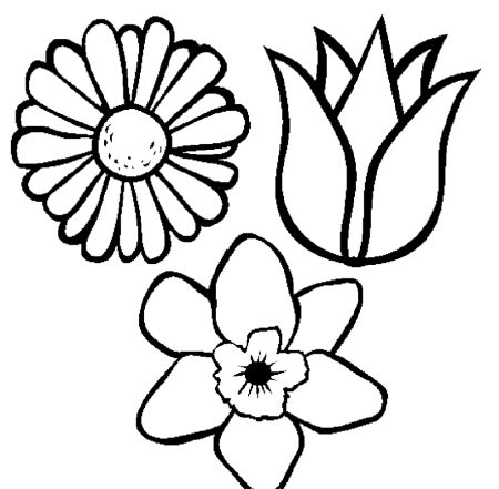 Цветы раскраска для детей